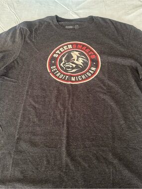 Men’s Short-Sleeve Detroit Michigan Graphic Tee — Dark Gray